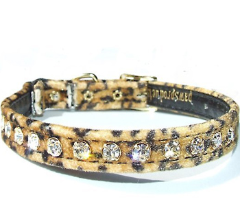 �������� �������� ��� �����