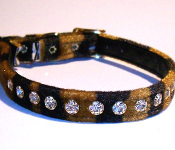 �������� �������� ��� �����