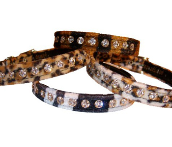 �������� �������� ��� �����