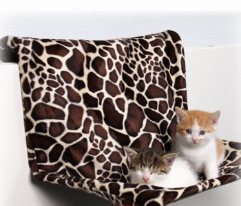 ������������ ������� ��� �����