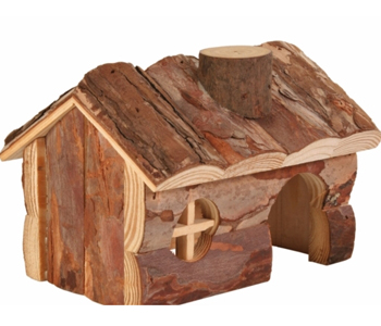 ������ ��� ����� ���������