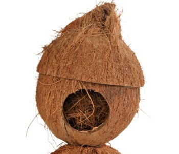 ������ ��� ����� ���������