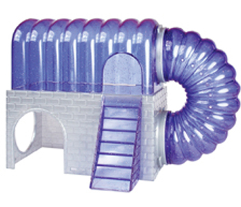 ������ ��� ����� ���������