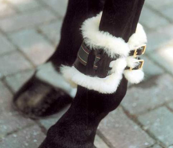 ����� ��� �������