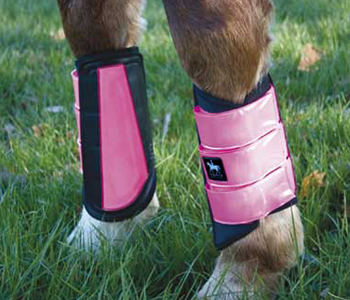 ����� ��� �������