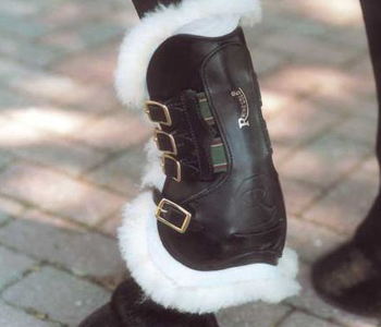 ����� ��� �������