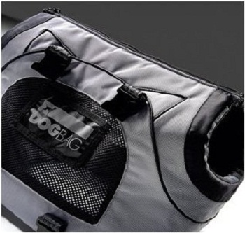 ������������� ���������� ��������� ��� �����