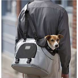 ������������� ���������� ��������� ��� �����