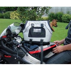 ������������� ���������� ��������� ��� �����