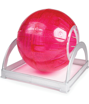 ��������� ��� ��������