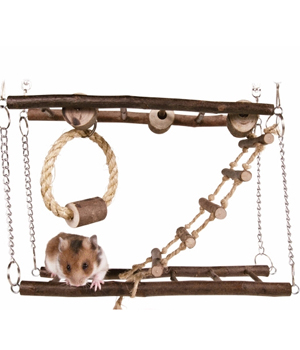 ��������� ��� ��������