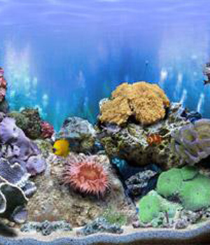 ��������, ��� ��������� ���������