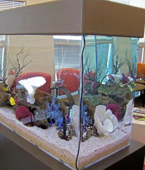 ��������, ��� ��������� ���������