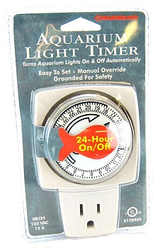 ������ ��� ����