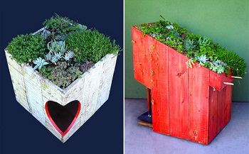 �������� ����