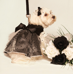 Летние платья для собак Летние платья для собак