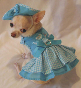 Летние платья для собак Летние платья для собак