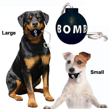 ��� ��������� ������������