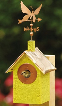 ������ ��� ����