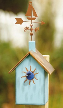 ������ ��� ����