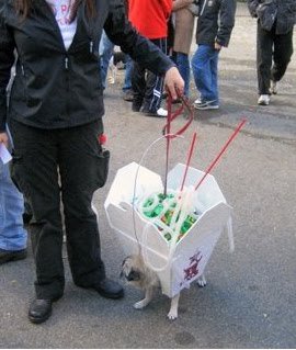 ��� 10 ������� �������� ��� �����