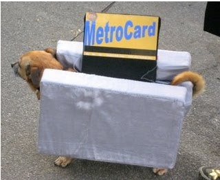 ��� 10 ������� �������� ��� �����