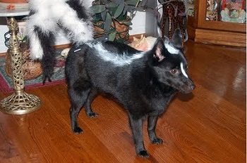 ��� 10 ������� �������� ��� �����