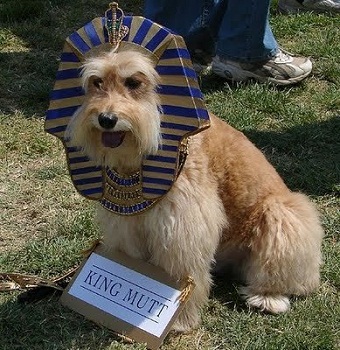 ��� 10 ������� �������� ��� �����