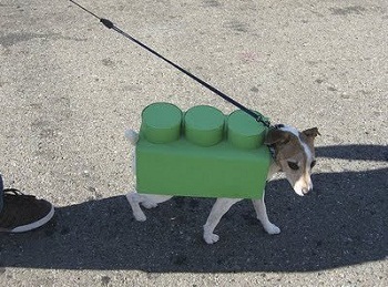 ��� 10 ������� �������� ��� �����