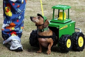 ��� 10 ������� �������� ��� �����