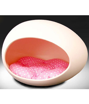 ������ ����� ��� �����