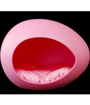 ������ ����� ��� �����