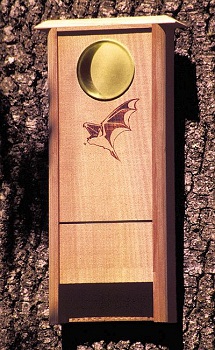 ��� ��� ������� ����