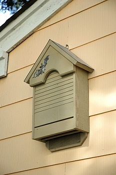 ��� ��� ������� ����