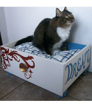 ����������� ������� ��� �����