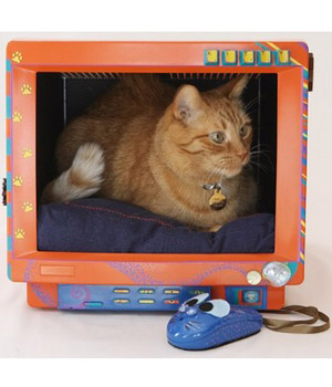 ����������� ������� ��� �����