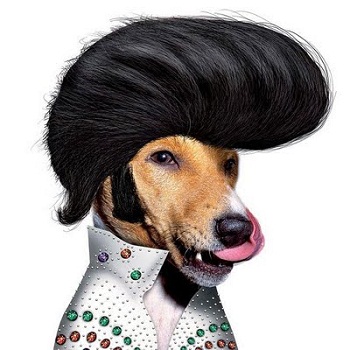 ���-�������