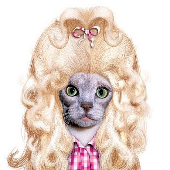 ���-�������