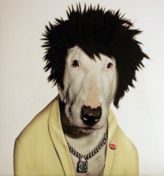 ���-�������