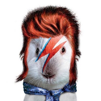 ���-�������