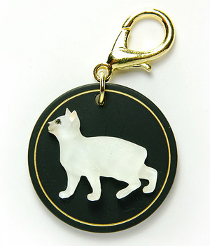 �������� ��� ����� � �����