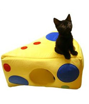 ������ �����