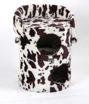 ��� ��� ����� ������������ ���������