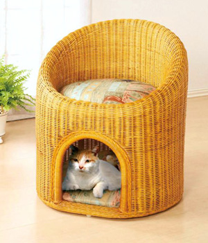 �������� ������ � ���������� ��� ��������