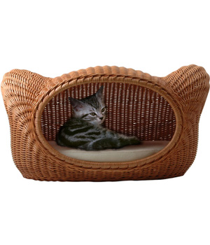 �������� ������ � ���������� ��� ��������