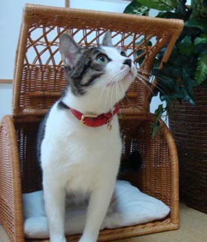 �������� ������ � ���������� ��� ��������