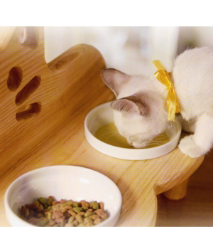 ����� � �����