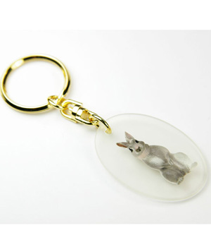 Любителям кроликов Любителям кроликов