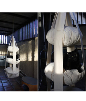 �������� ��� �����