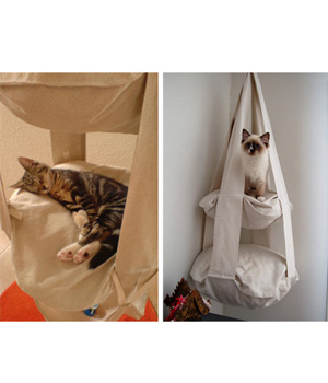 �������� ��� �����